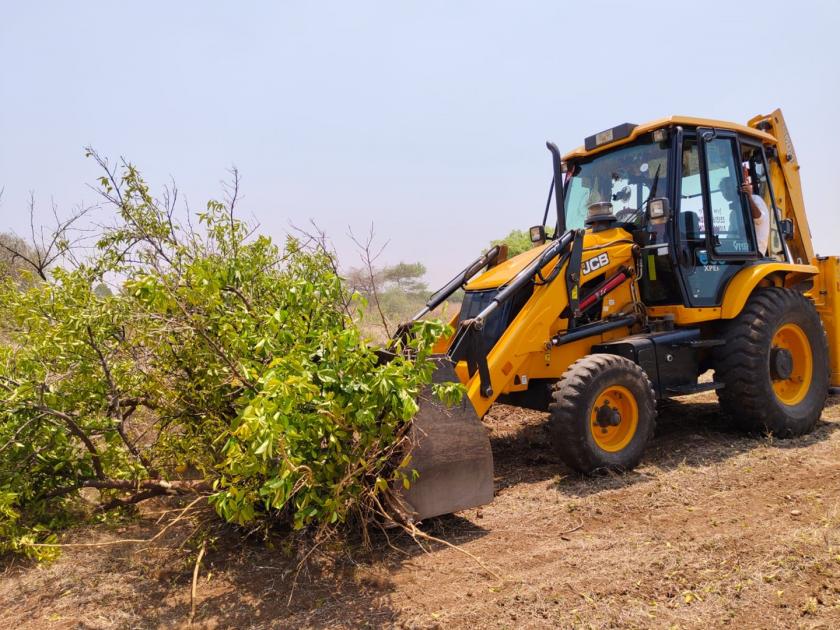 Farmers in trouble due to declining water level; Orchards on 8 thousand hectares in Paithan are in danger | पाणीपातळी खालावल्याने शेतकरी संकटात; पैठणमधील ८ हजार हेक्टरवरील फळबागा धोक्यात