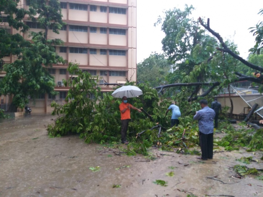 Tauktae Cyclone hit Bhiwandi; Trees fall all over the city | Tauktae Cyclone : भिवंडीत चक्रीवादळाचा तडाखा; शहरात ठिकठिकाणी पडली झाडे, सुदैवाने जीवितहानी टळली