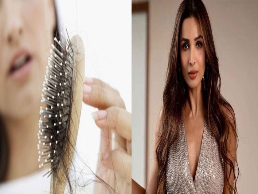 Beauty Tips By Malaika arora : bollywood actress fitness tips hair fall issue | कोरोनाकाळात केसांचं गळणं कसं रोखाल?; मलायकानं सांगितला सोपा घरगुती फंडा, पाहा व्हिडीओ