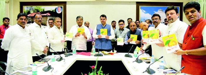 Publication at the hands of Chief Minister of 'Districts Nagpur' book | ‘जिल्हे नागपूर’ पुस्तिकेचे मुख्यमंत्र्यांच्या हस्ते प्रकाशन
