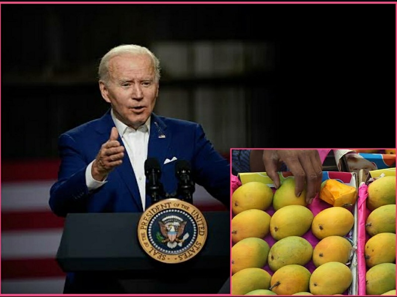 US President Joe Biden to taste Baramati mangoes maharashtra quality mangoes in america | अमेरिकेचे राष्ट्राध्यक्ष जो बायडेन चाखणार बारामतीतील आंबे; राज्यातील दर्जेदार आंबे सातासमुद्रापार!