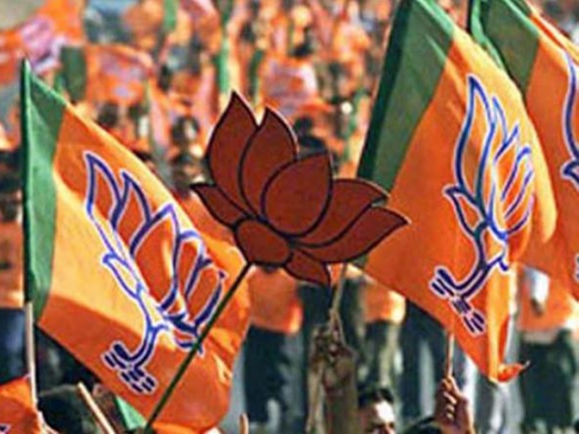 Lok Sabha Election 2019 Raj Thackeray criticize Modi | भाजपवाले राज ठाकरेंमुळे कसे झाले बेजार ?
