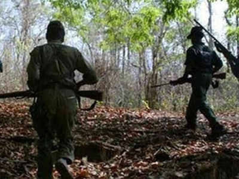 Gadchiroli clashes with police and Naxalites; Two Naxalites killed | गडचिरोलीत पोलीस आणि नक्षलवाद्यांमध्ये चकमक; दोन नक्षलवादी ठार
