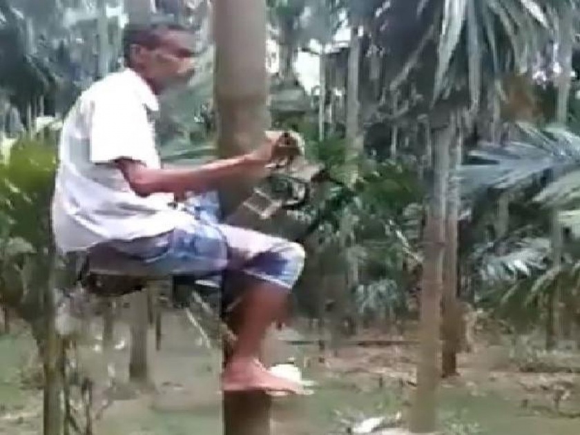 Farmer creates ingenious device to carry him up trees to pick coconuts | नारळाच्या झाडावर चढण्यासाठी जुगाडू बाइक, बघाल तर म्हणाल रायडर आहे की शेतकरी!
