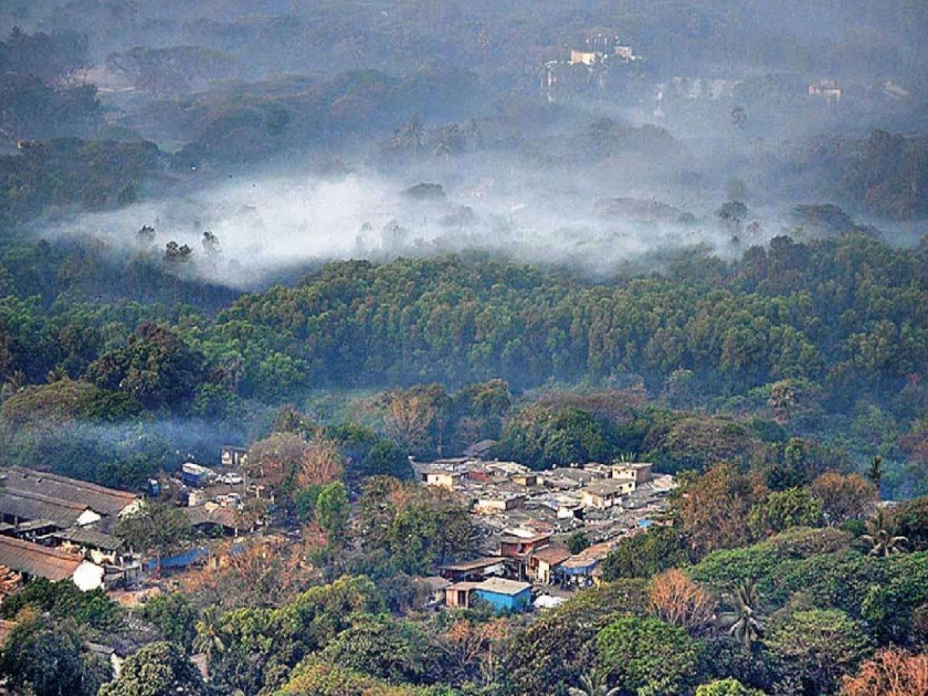 Preserve the forests of Mumbai for at least oxygen; Appeal to environmentalists | किमान ऑक्सिजनसाठी तरी मुंबईतील जंगल टिकवा; पर्यावरणप्रेमींचे आवाहन