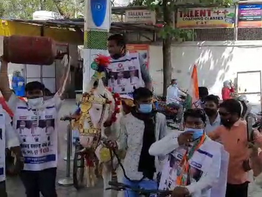 video! Youth congress worker came on petrol pump on a bicycle-horse in Amravati | अनोखा Video! पेट्रोल पंपावर सायकल-घोड्यावरून आले, LPG सिलिंडर पकडायला पैलवान