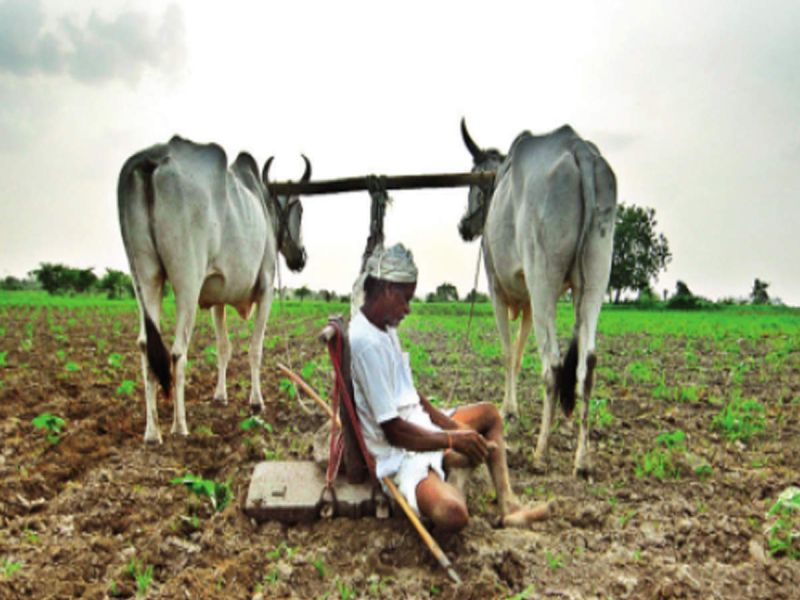 1.30 lakh farmers' lists submited to treasury for relief | मदत वाटपासाठी १.३० लाख शेतकऱ्यांच्या याद्या कोषागारात