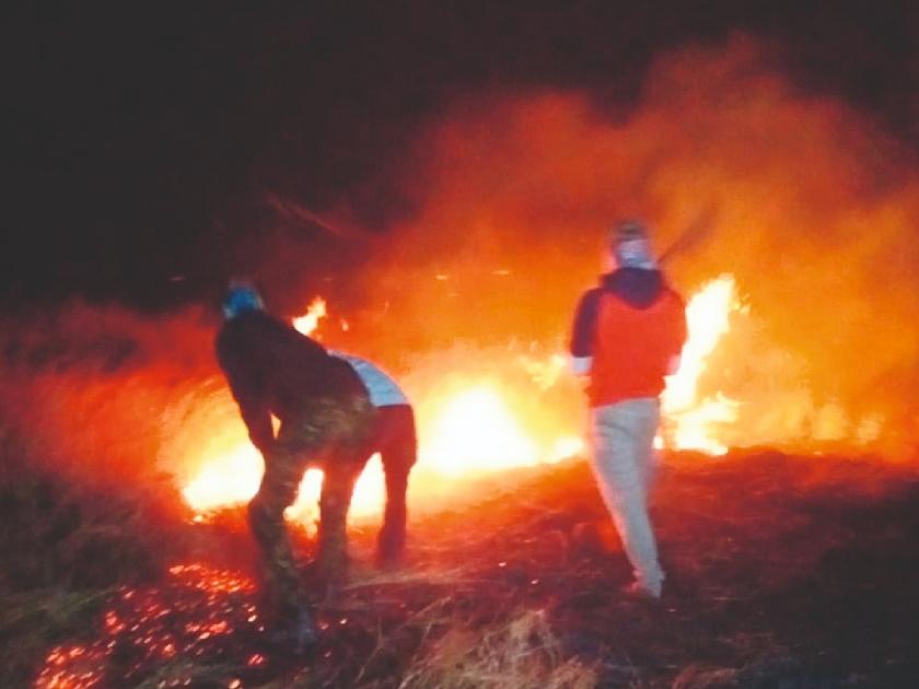Fire on Saturday night in Ganeshkhind area on kaas satara district | Satara News: कास मार्गावरील गणेशखिंड पुन्हा वणव्यात होरपळला!, तब्बल तीन तासानंतर आग आटोक्यात 