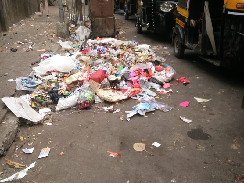 Waste empire spread in the city of Pali; Citizens' Health Hazards | पाली शहरात कचऱ्यामुळे पसरले घाणीचे साम्राज्य; नागरिकांच्या आरोग्याला धोका