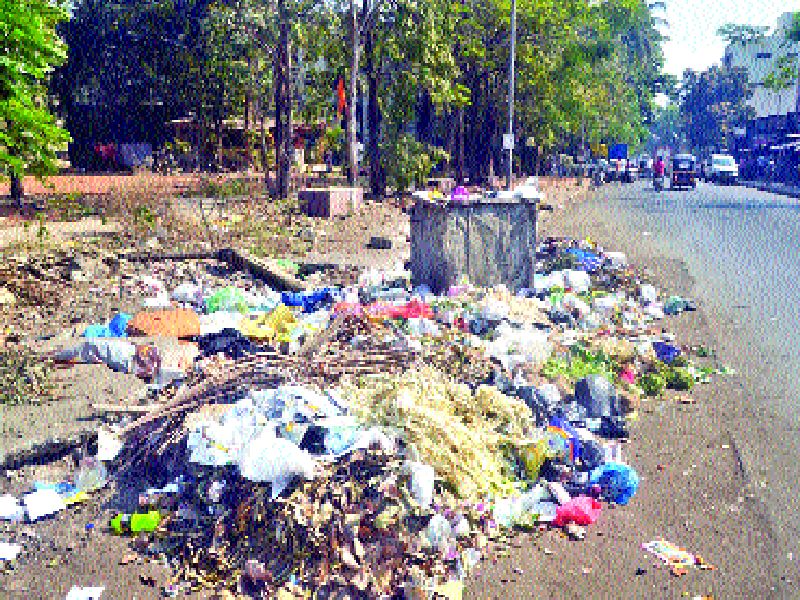  Waste Hazards in the city, health issues in Panvel | शहरात जागोजागी कचरा , पनवेलमध्ये आरोग्याचा प्रश्न