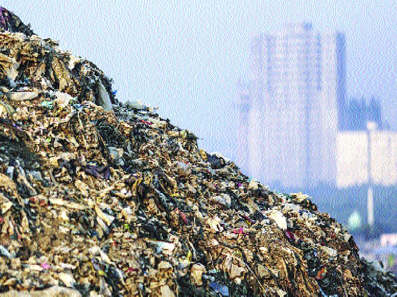 22 tonnes of manure from waste from Govandi and Mankhurd | गोवंडी, मानखुर्दमधून कचऱ्यातून २२ टन खतनिर्मिती