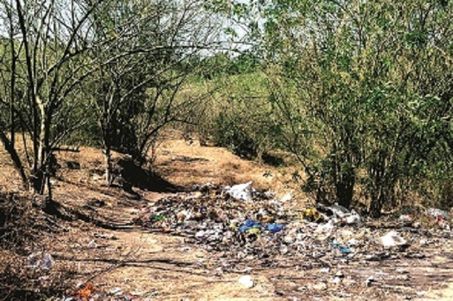 Satara: The penalty for the garbage disposal of thousands of people, the action taken by the Karhad Municipal Corporation | सातारा : कचरा रस्त्यावर टाकणाऱ्यास हजारचा दंड, कऱ्हाड पालिकेकडून कारवाई
