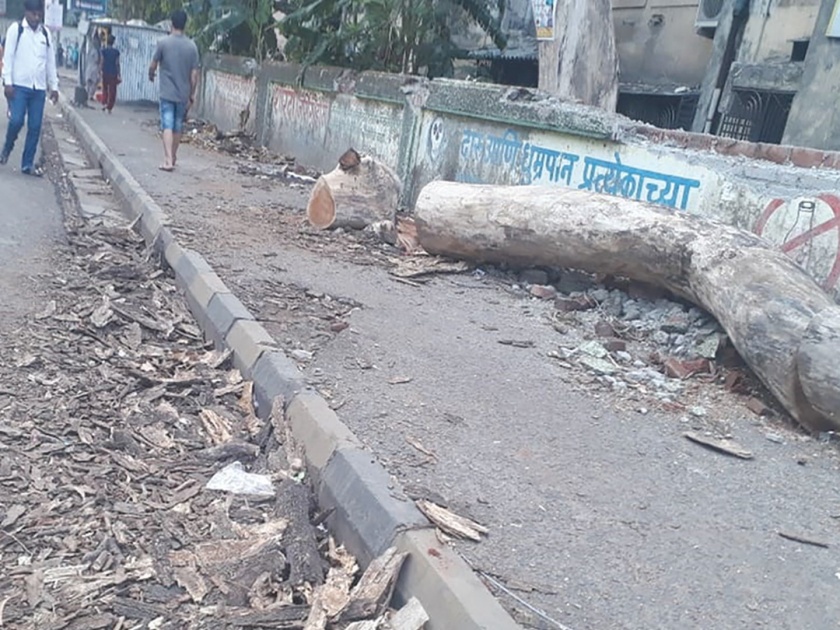 Planting trees broken in Kalamboli; Disadvantages of pedestrians | कळंबोलीत तोडलेली झाडे रस्त्यावर पडून; पादचाऱ्यांची गैरसोय