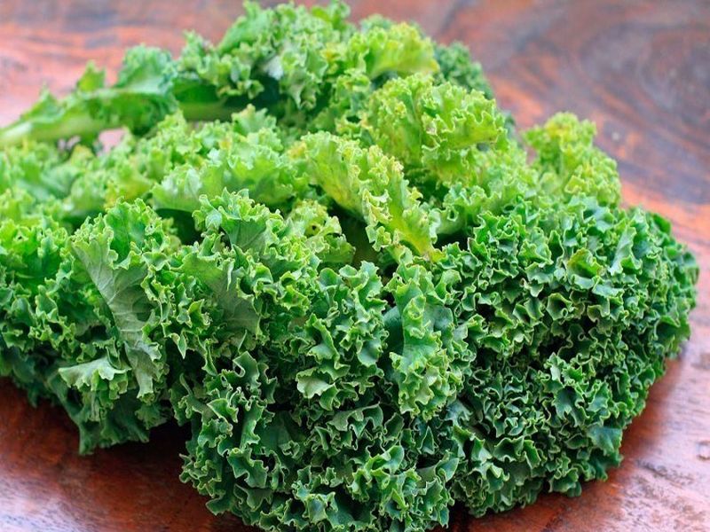 benefits ok kale vegetable on kale day | पालकसारखी दिसणारी 'ही' आरोग्यदायी भाजी, फायदे वाचाल तर रोजच सेवन कराल