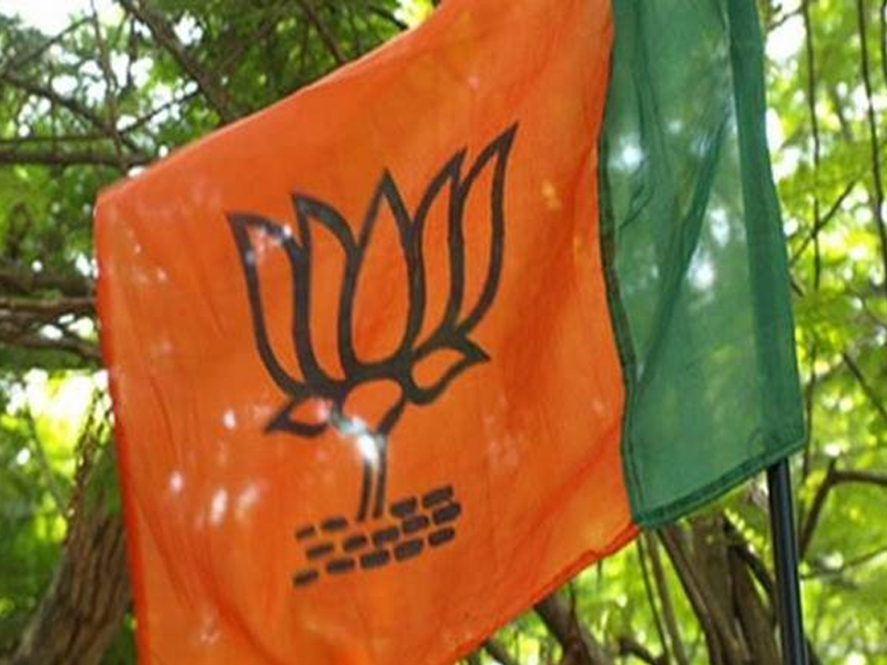 Rajasthan Local Body Election Results 2019: Congress wins 23, while BJP 6 and 20 seats for others | भाजपाला धक्का; २३ पालिका काँग्रेसच्या 'हाता'त, राजस्थानातून ओसरली 'मोदी लाट'!