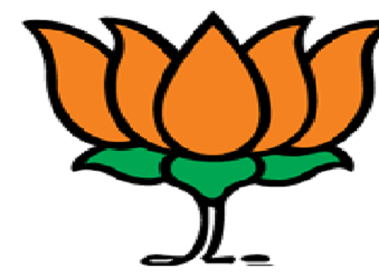  BJP in Kolhapur is the basis of central government's plans | कोल्हापुरातील भाजपला केंद्र शासनाच्या योजनांचा आधार-दोन्ही काँग्रेस, सेनेबरोबर लढताना दमछाक