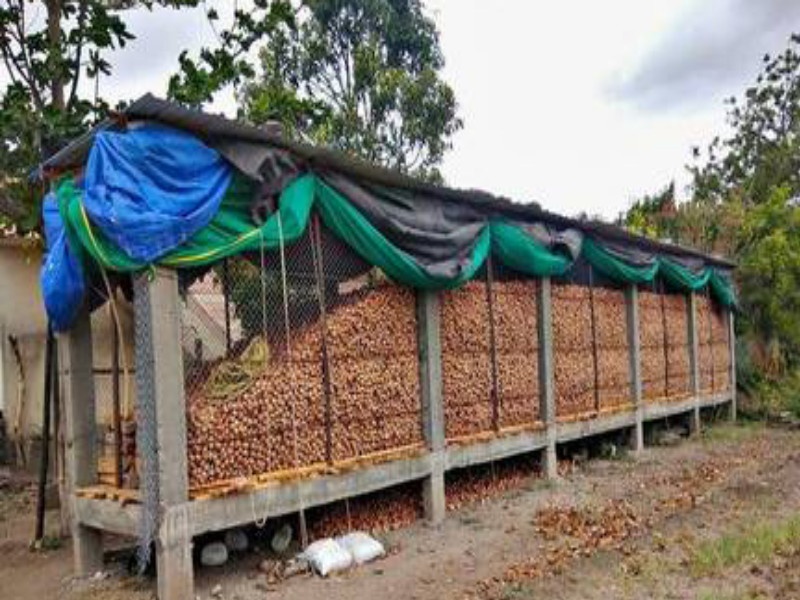 Onion storage by farmers reason low market prices due to corona | कोरोनामुळे बाजारभाव कमी झाल्याने शेतकऱ्यांकडून कांद्याची साठवण