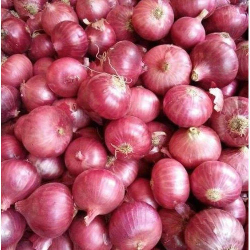 Red onion cultivation works | लाल कांदा लागवडीची कामे वेगात