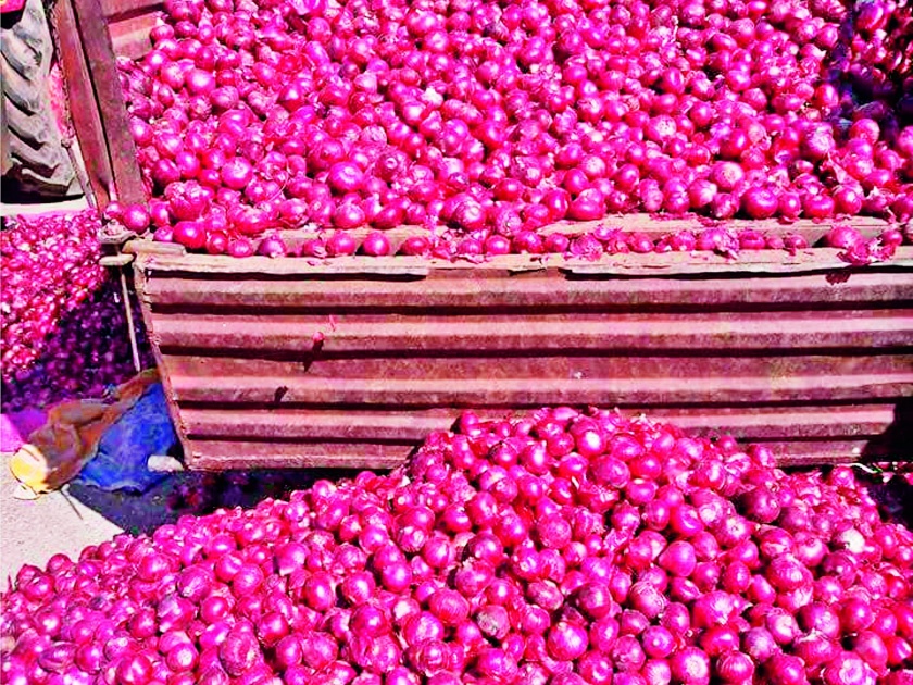Onion prices fell as export value increased | निर्यात मूल्य वाढताच कांदा भाव घसरले