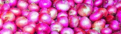 Buy onion at Deola at Rs. 20 per kg | देवळा येथे कांदा २० रु पये प्रति किलोने खरेदी करा