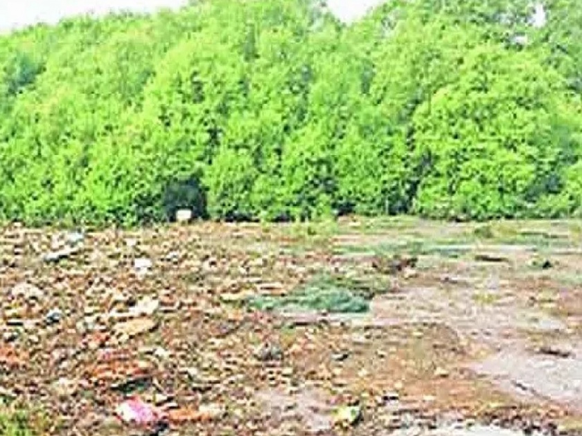 Encroachments in the green belt of Kandal forests in Konkan will be prevented | कोकणातील कांदळवनांच्या हिरव्या पट्ट्यातील अतिक्रमणे रोखणार