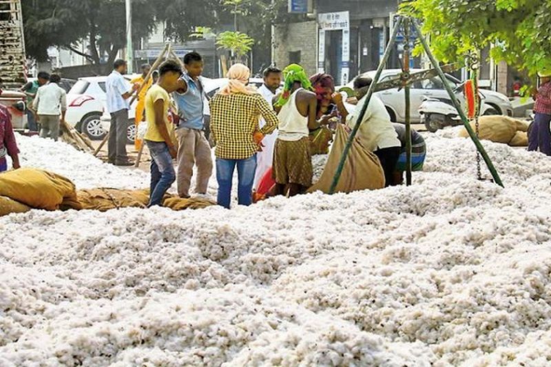 Refuse to count cotton at Karanja purchasing center | खरेदीच्या मुहूर्तावरच कापूस मोजून घेण्यास नकार