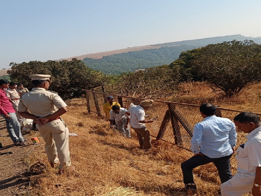 Protective nets on Kas Plateau are being removed | Kaas plateau: कास पठार घेणार मोकळा श्वास!, संरक्षक जाळ्या काढण्यास सुरू