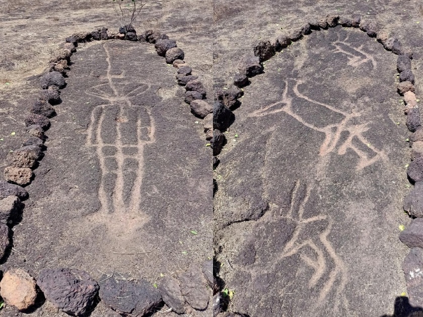 10,000 year old carvings found in Dapoli, curiosity about alien like carvings | Ratnagiri: दापोलीत आढळले दहा हजार वर्षापूर्वीचे कातळशिल्प, एलियनसदृश्य कातळशिल्पाबाबत कुतूहल