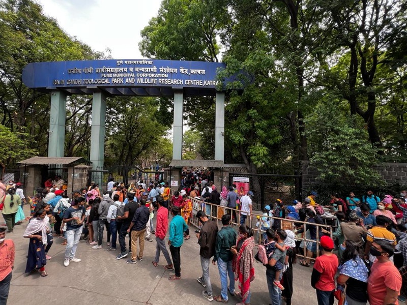 12,000 tourists on the first day of Katraj Zoo in Pune Income of Rs 4 lakhs | पुण्यातील कात्रजच्या प्राणी संग्रहालयाला पहिल्याच दिवशी १२ हजार पर्यटक; तब्बल ४ लाखांचे उत्पन्न
