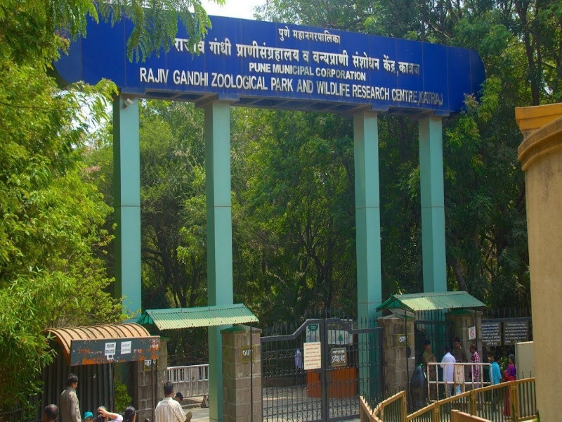 Close to 450 parks in Pune with Katraj Zoological Museum on the background of Corona | कोरोनाच्या पार्श्वभूमीवर कात्रज प्राणी संग्रहालयासह पुण्यातील ४५० उद्याने बंद 