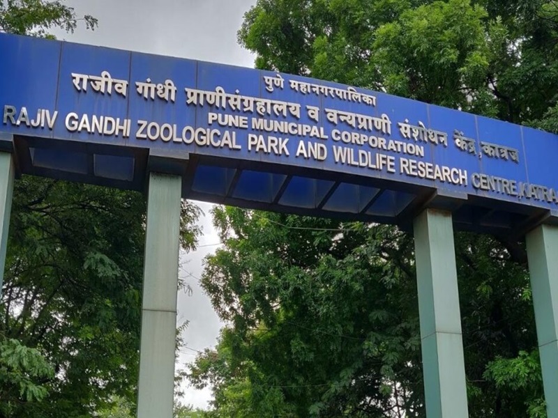 Free entry to Rajiv Gandhi Zoological Museum for children up to eight years, Municipal Corporation's decision | Pune: आठ वर्षांपर्यंतच्या मुलांना राजीव गांधी प्राणी संग्रहालयात माेफत प्रवेश, महापालिकेचा निर्णय