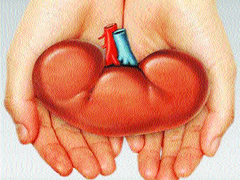 Maharashtra ranks first in organ donation across the country | मुंबईत अवयवदानाने गाठली पंचाहत्तरी