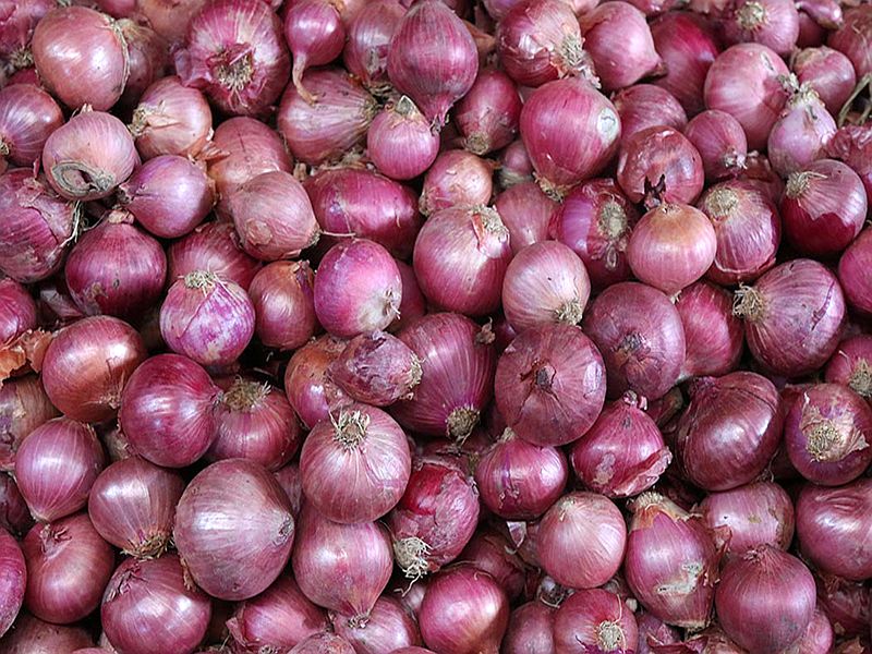 Onion prices fall; Soon within under hundred rupess | कांद्याच्या दरात घसरण; लवकरच दर शंभरीच्या आत