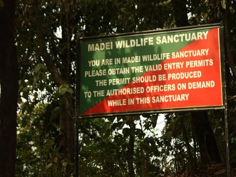 A dead tiger has been found at Madei Sanctuary in Goa | गोव्यात म्हादई अभयारण्यात मृत वाघ सापडल्याने खळबळ