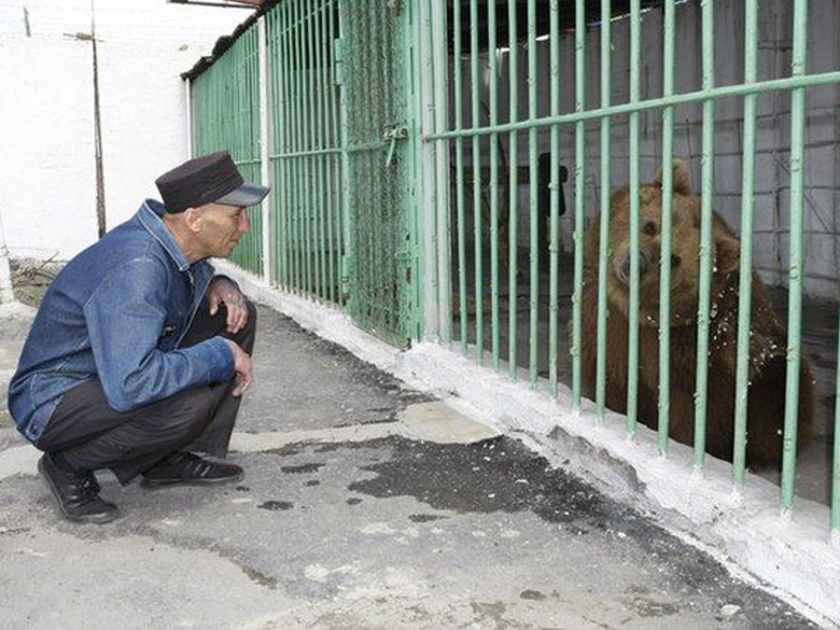 Katya the brown bear serving a life sentence in a Kazakh prison | ७३० कैद्यांसोबत तुरुंगात कैद आहे एक अस्वल, यासाठी मिळाली त्याला जन्मठेपेची शिक्षा!