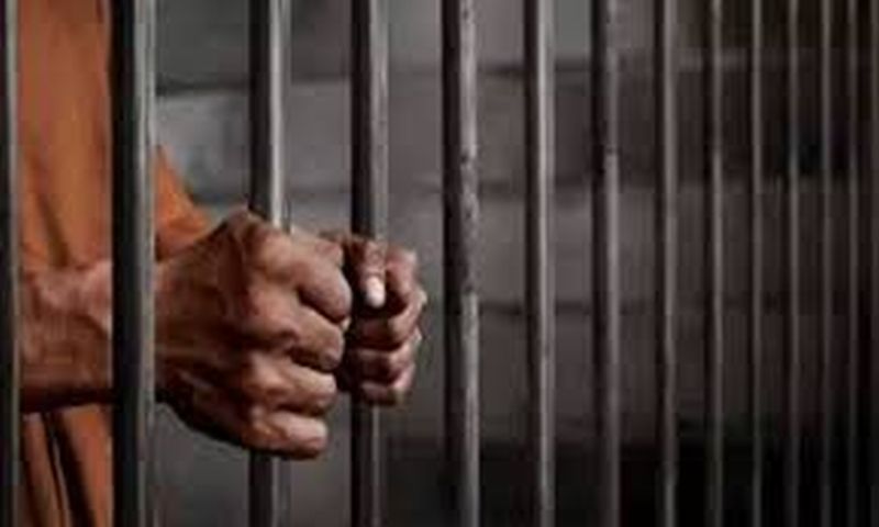One sentenced for seven years for abusing Sister-in-law | वहिनीवर अत्याचार करणाऱ्या दिरास सात वर्षांची शिक्षा