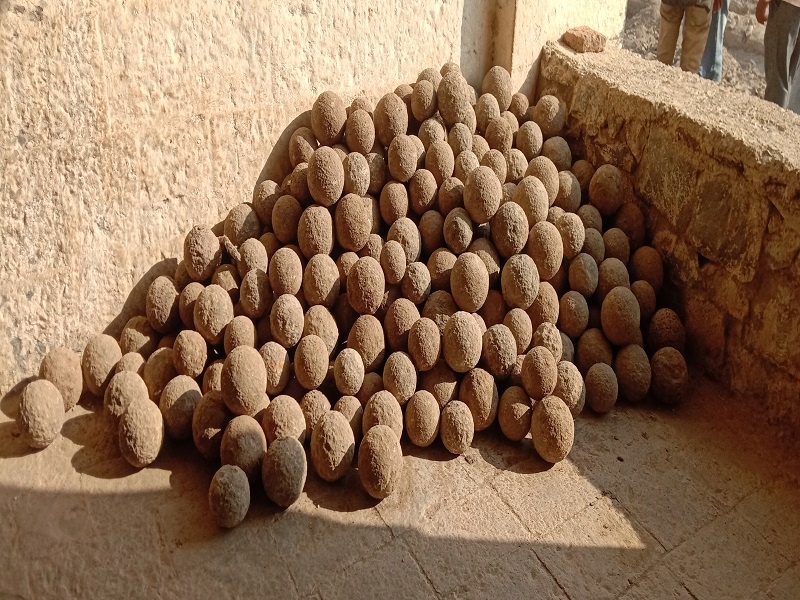 311 artillery shells found in Bhuikot fort at Kharda | खर्डा येथील भूईकोट किल्ल्यात सापडले ३११ तोफगोळे