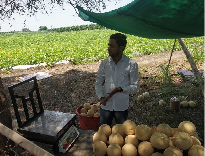 Farmer's ingenious use of social media; Millions of rupees earned from the sale of fruits on the dam | शेतकऱ्याने केला सोशल मिडीयाचा कल्पक वापर; बांधावरच्या फळविक्रीतून मिळवले लाखोचे उत्पन्न