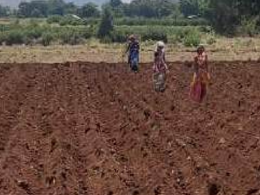 Demand of about 45 thousand quintal seeds for Kharif season from Satara Agriculture Department | कृषी विभागाचे खरीप नियोजन; साताऱ्यातील शेतकऱ्यांसमोर दुष्काळी सावट 
