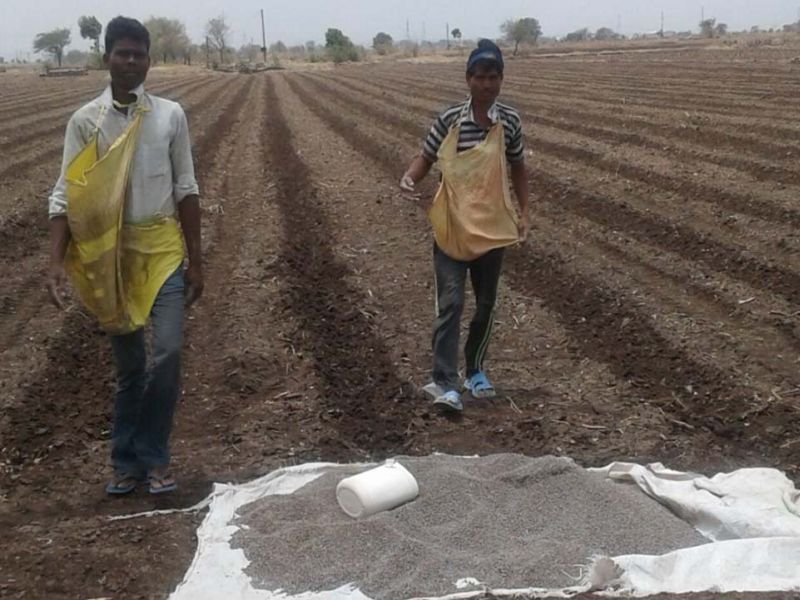 Four lakhs of fertilizers were seized at Khandbara | खांडबारा येथे चार लाखांचा खतसाठा जप्त
