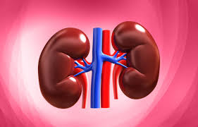 Kidney transplant will be done on 16 patients in Marathwada | मराठवाड्यात १६ रुग्णांवर होणार किडनी प्रत्यारोपण