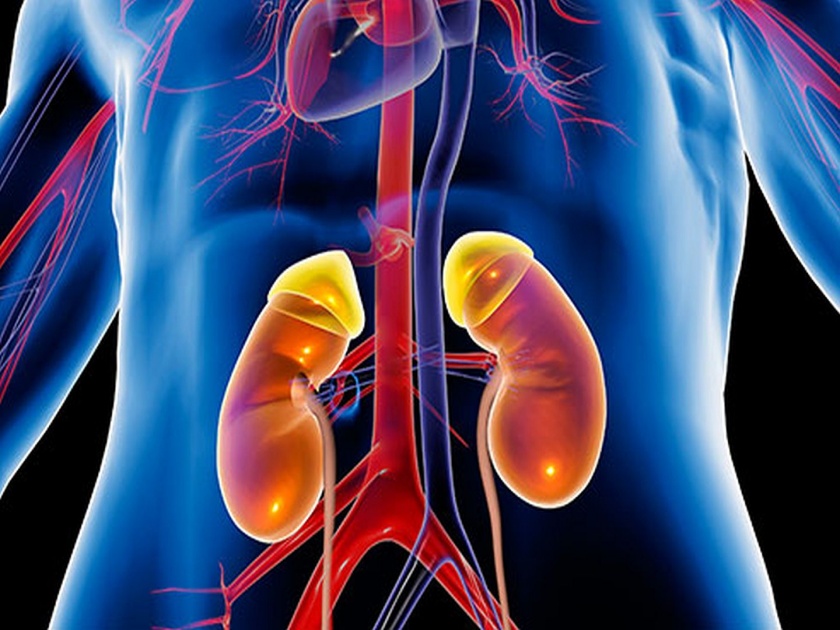 Do you know about types of kidney tumor | किडनीमध्ये ट्यूमरचे किती प्रकार असतात आणि त्याने काय होतात समस्या?