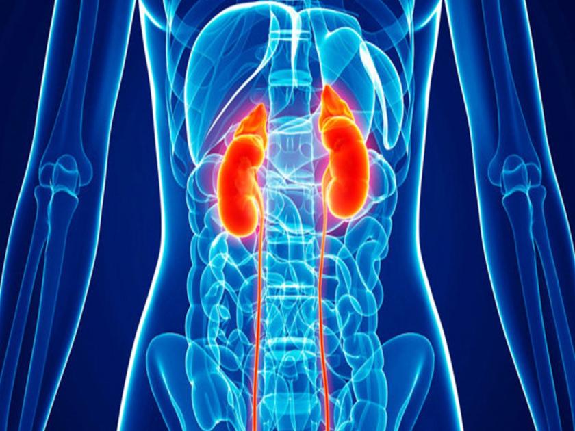 World kidney day 2019 these are the signs which tell that your kidneys have become damage | World kidney day 2019 : किडनी खराब होण्याची कारणं आणि लक्षणं!