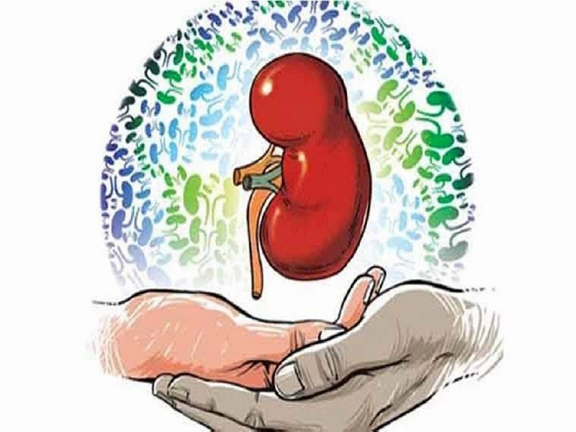 About 400 patients with kidney failure in Nagpur division on dialysis | नागपुरात ४०० रुग्णांची मूत्रपिंडासाठी जीवघेणी प्रतीक्षा