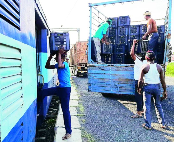 Orange growers respond to Kisan Railway: 17 wagons leave for Delhi | संत्रा उत्पादकांचा किसान रेल्वेला प्रतिसाद  : १७ वॅगन दिल्लीला रवाना