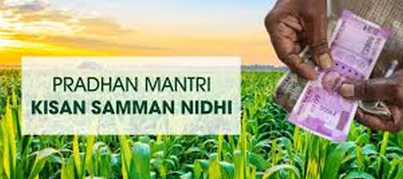 Update the information of farmers in 'PM-Kisan' scheme in seven days! | ‘पीएम-किसान’ योजनेतील शेतकऱ्यांची माहिती सात दिवसांत अद्ययावत करा!