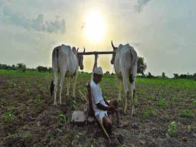 Implementation of Kisan Samman Yojana stops for two months! | किसान सन्मान योजनेची अंमलबजावणी दोन महिन्यांपासून ठप्प!