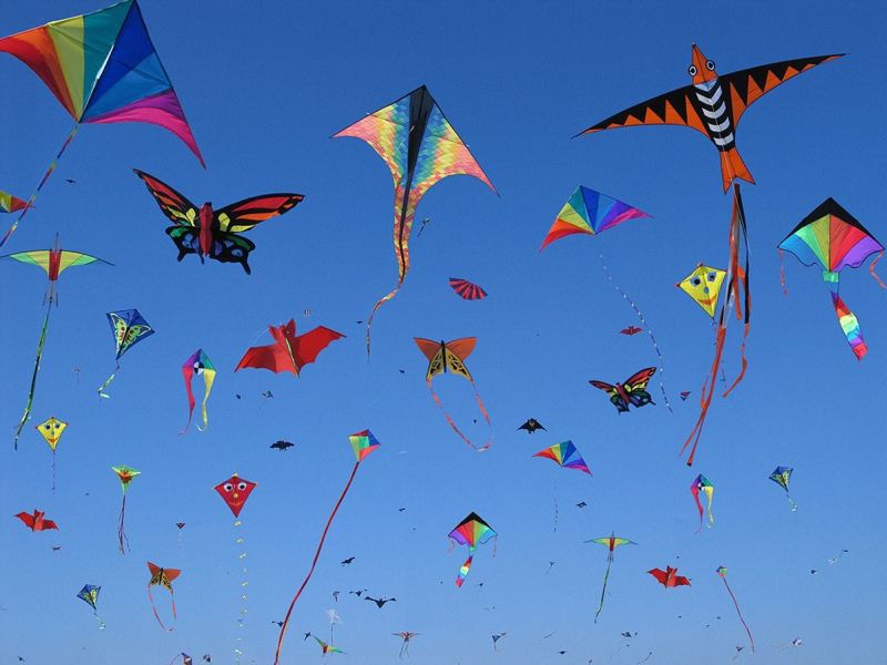 Decoding why we fly kites during Makar Sankranti | या कारणांमुळे मकरसंक्रांतीला उडवले जातात पतंग !