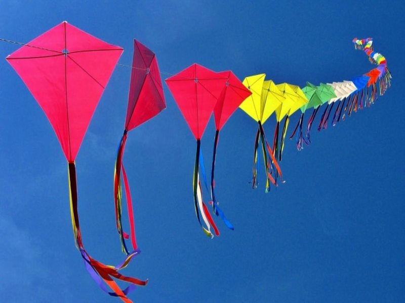 Fly a kite to Makar Sankranti; But just keep it ... | मकरसंक्रांतीला पतंग उडवा; पण जरा जपून...