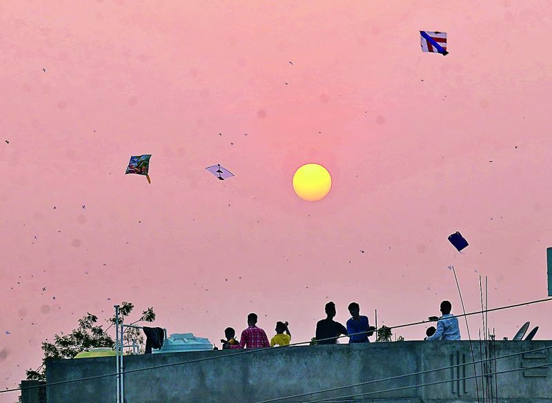 MakarSankranti: Kites fly skyward, O Kat in Nagpur | मकरसंक्रांती : पतंग उडाली आकाशी, नागपुरात 'ओ काट'